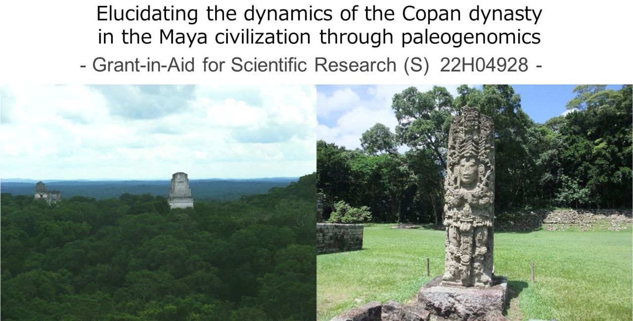Elucidating the dynamics of the Copan dynasty in the Maya civilization through paleogenomics